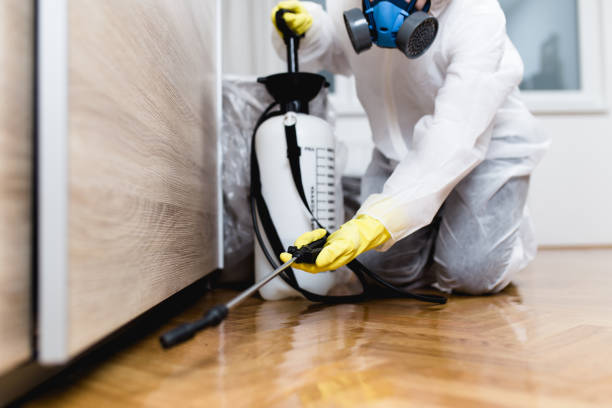 Best Pest Control Near Me  in Vernonia, OR