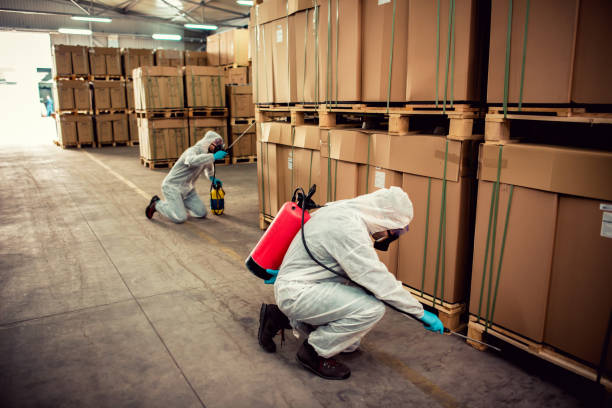 Best Insect Control  in Vernonia, OR