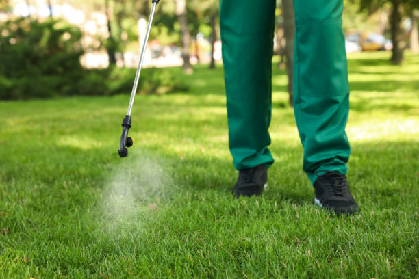 Best Pest Control Near Me  in Vernonia, OR