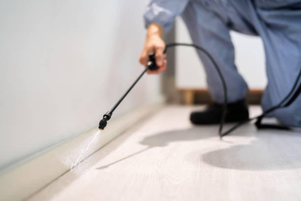 Best Flea Control Services  in Vernonia, OR