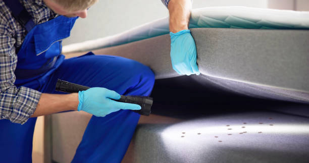 Best Local Pest Control Services  in Vernonia, OR