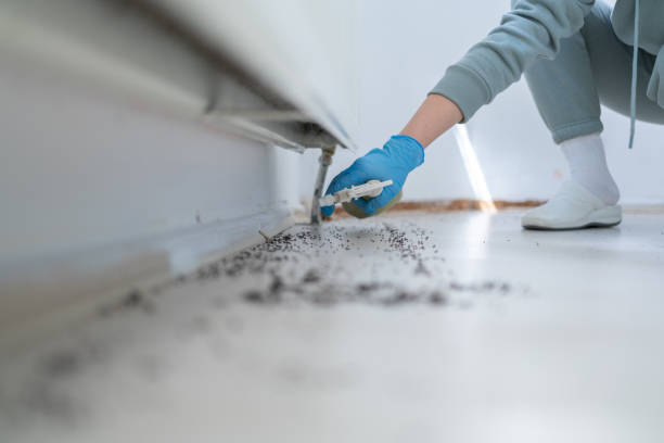 Vernonia, OR Pest Control Company